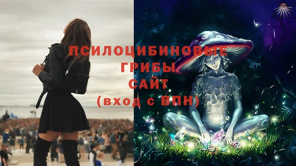 винт Абинск